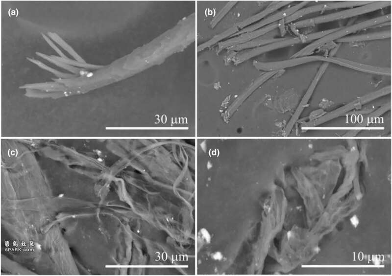 科学家竟在小行星样本中发现了细菌 这下问题可大了