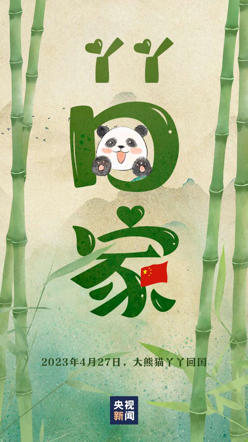 刚刚抵达!旅美20年大熊猫“丫丫”回到中国- 综合新闻- 加拿大新闻- 约克论坛