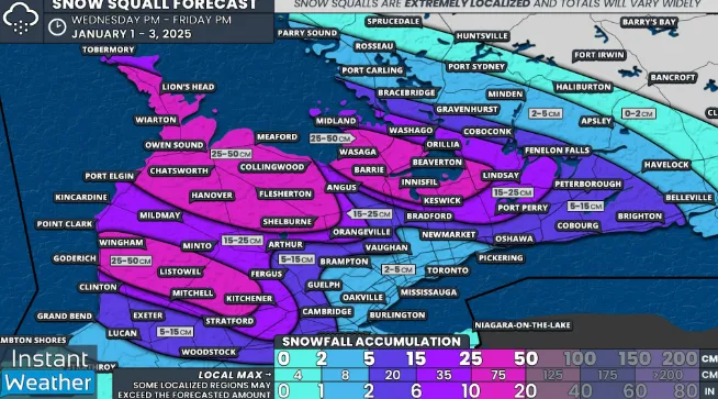 30个警报齐发! 新年60cm雪暴狂袭: 多伦多周边"一片红"! 401/QEW/403接连封路!